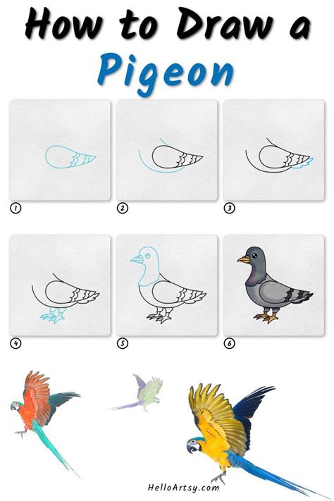 How to Draw a Pigeon - 6 step drawing lesson for kids | Arte de ...