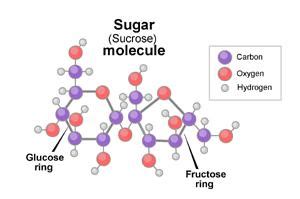 Candy Addict » Candy Theory of Relativity