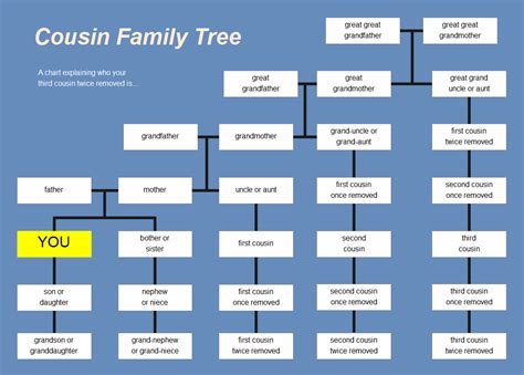 Cousin Chart Explained With Examples EdrawMax Online, 59% OFF