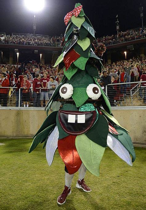 Stanford Tree | Stanford mascot, College football, Stanford football