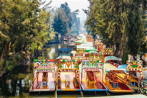 Mexico City: Xochimilco, Casa Azul, Coyoacán & UNAM Tour | GetYourGuide