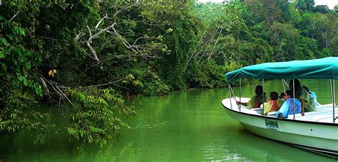 Fishing in Gatun Lake - Enjoy Panama