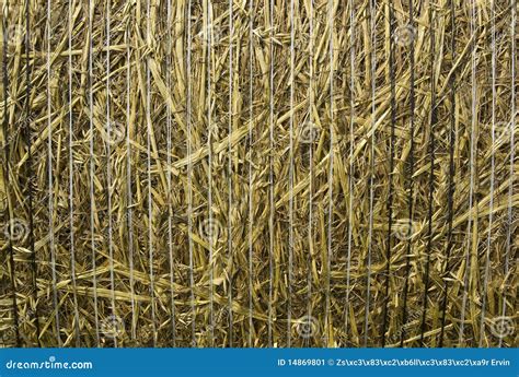 Hay texture background stock image. Image of scene, straw - 14869801