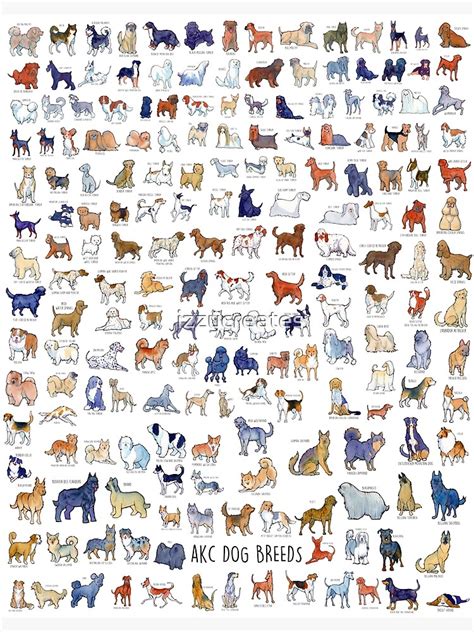 "Every AKC Dog Breed" Poster for Sale by izzycreates | Redbubble