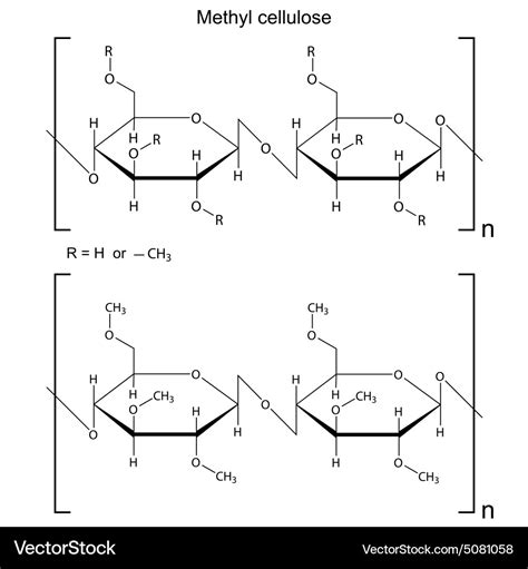 Methyl cellulose polymer Royalty Free Vector Image