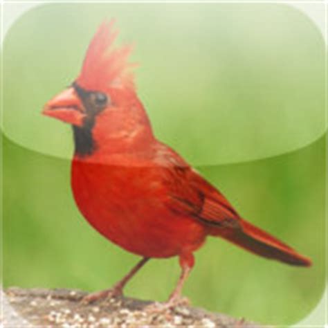 North American Birds App for iPad - iPhone - Reference