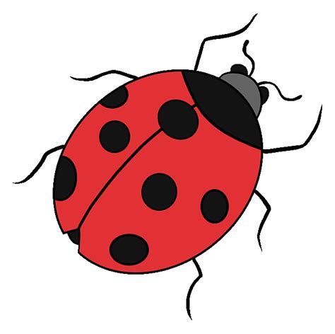 How to Draw a Ladybug - Really Easy Drawing Tutorial