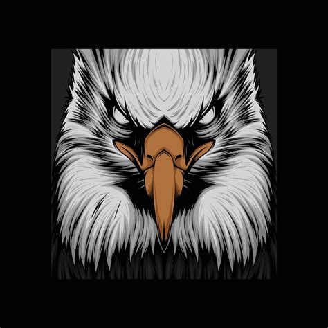 Angry eagle close up view vector artwork 3238690 Vector Art at Vecteezy