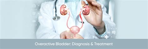 Overactive Bladder: Diagnosis & Treatment