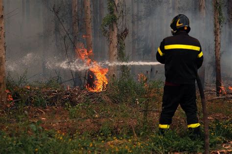 New areas under threat as Chile fires rage and mercury rises