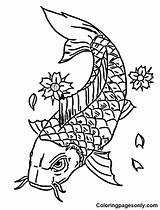 Koi Fish Coloring Pages  For Kids And Adults sketch template