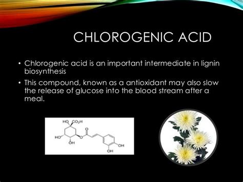 Health benefits of chrysanthemum