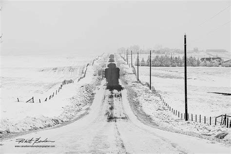 The Canadian Nature Photographer - Prairies and Foothills Portfolio ...