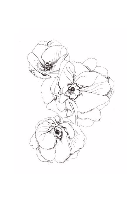 fine line flower 2 | Art, Poppy flower drawing, Flower drawing