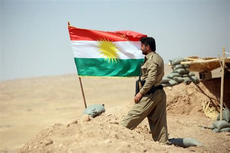 Experts: Peshmerga need vision for unification