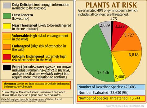 Chart of Plants at Risk of Extinction - The Global Education Project