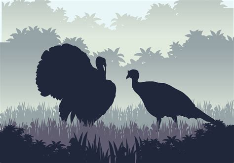 Wild Turkey Hunting Season 137175 Vector Art at Vecteezy