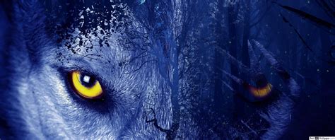 Blue Wolf Eye Wallpapers - Top Free Blue Wolf Eye Backgrounds ...