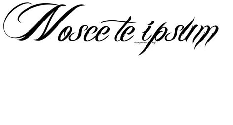 Nosce Te Ipsum Tattoo | Nosce te ipsum | Tattoo fonts, Tattoos, Art tattoo