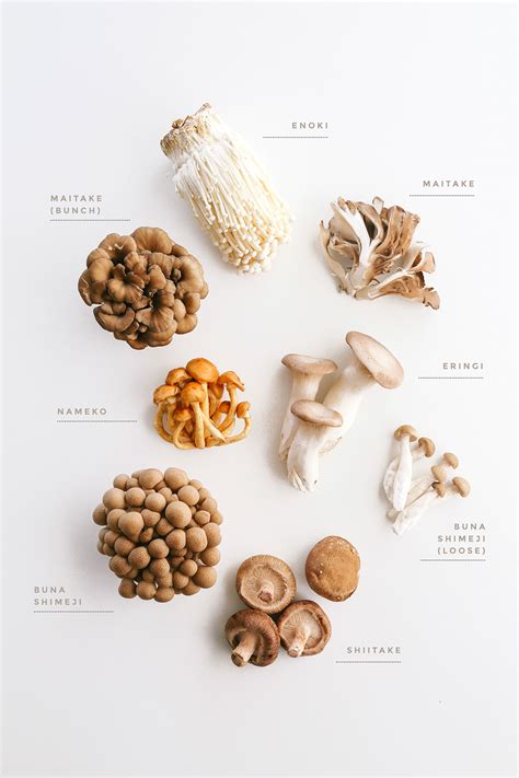 A Guide to Japanese Mushrooms and Keto - Happy Keto