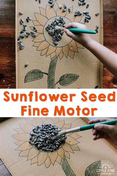 Sunflower Seed Sweep {3 Fine Motor Activities} • Little Pine Learners