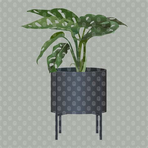 Archade | Potted Interior Plant Vector Drawings