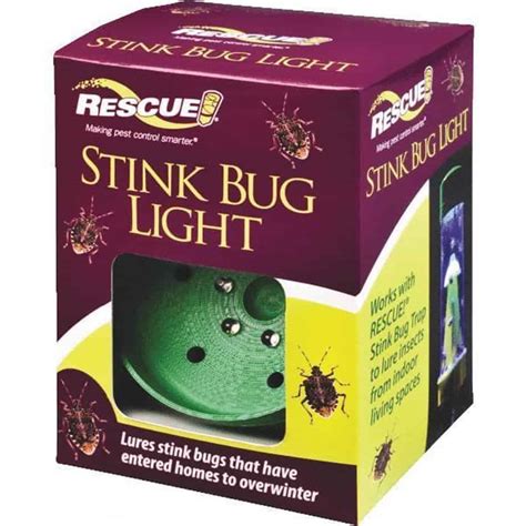 The 5 Best Stink Bug Traps For 2020 and Their Reviews