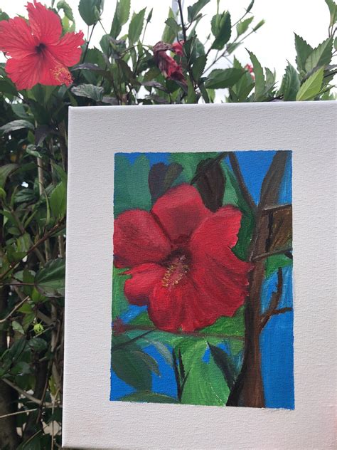 Original Oil Painting Amapola Island Flower Art Puerto | Etsy