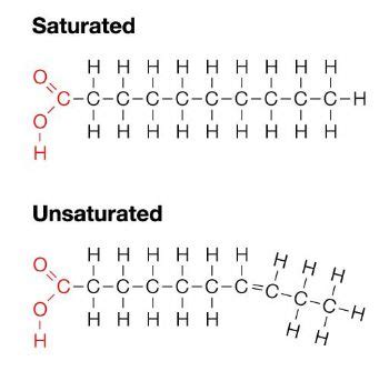 What is the difference between a saturated and unsaturated fat? | Socratic