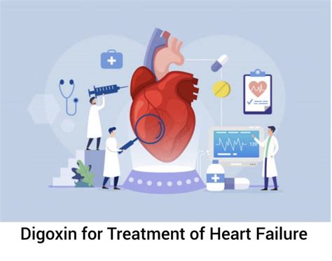 Uses Of Digoxin For Congestive Heart Failure | Anzen Exports