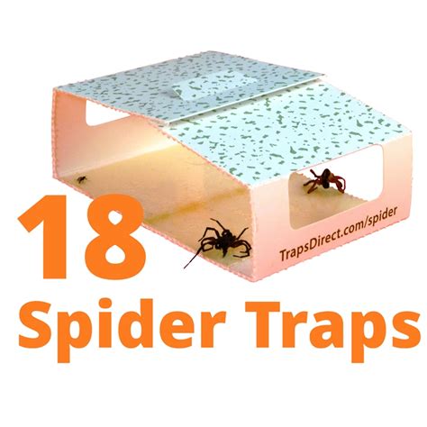 Green Spider Trap - Improved design, safe, non-toxic for spiders and insects: sleep soundly