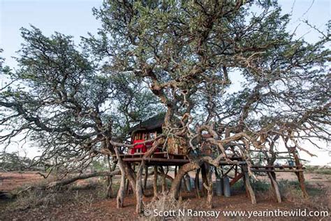 Mokala National Park - South Africa - copyright Scott Ramsay - w ...