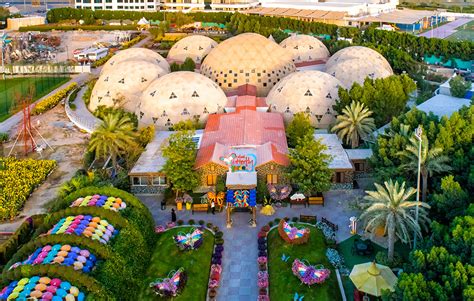 A Guide to Dubai Butterfly Garden: Attractions, Tickets & More - MyBayut