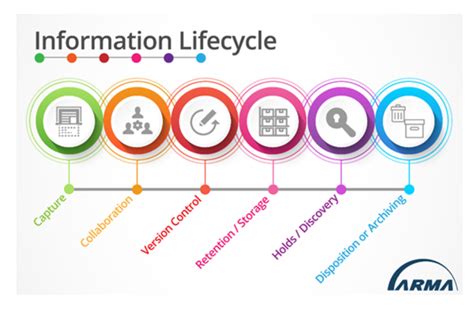 The Challenge of Balancing Information Access Demands and Risk Management Throughout the ...