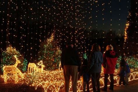 Discover Brookside Gardens' Christmas Lights Display