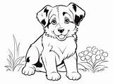 Awesome Australian Shepherd Coloring Sheet  Page sketch template