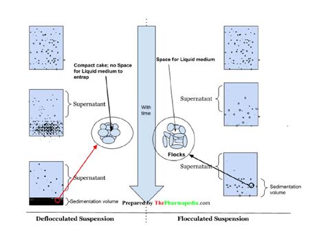 Pharmaceutical Suspension: Classification, Flocculated & Deflocculated Suspension - The Pharmapedia