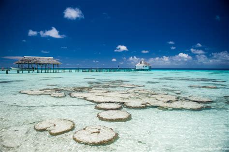 Tuamotu Islands - Tahiti Tours