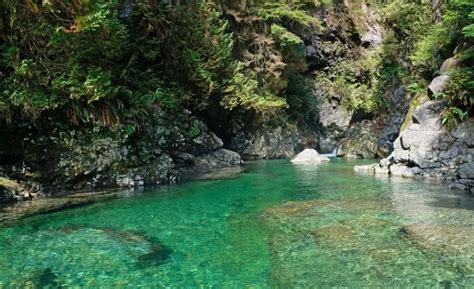 Hiking In Lynn Valley And Lynn Canyon, North Vancouver - In Love With BC