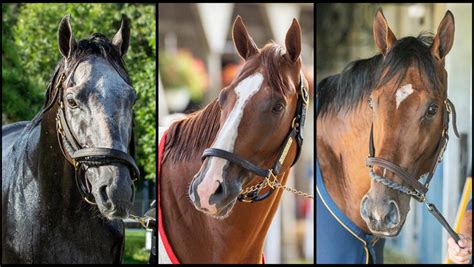 SLIDESHOW: Meet the 2023 Travers Stakes Contenders | America's Best Racing