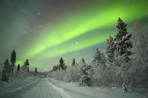 Ten facts about Lapland that you may not have known