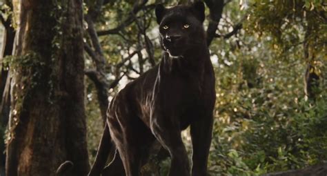 Bagheera (The Jungle Book 2016) | Heroes Wiki | Fandom powered by Wikia