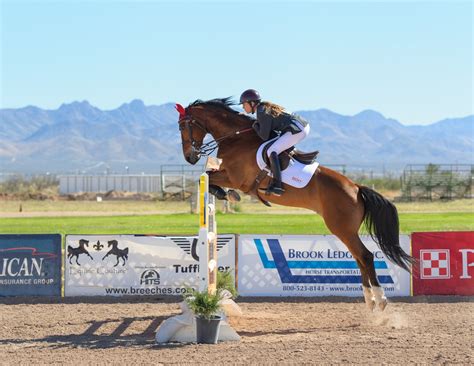 Show Jumping Tack: The Complete Tack List | Farm House Tack