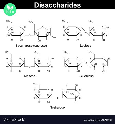 Maltose Structure Diagram