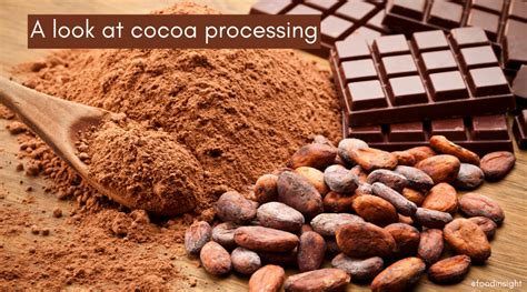 Unwrapping Our Chocolate: Cocoa Processing Insights – Food Insight