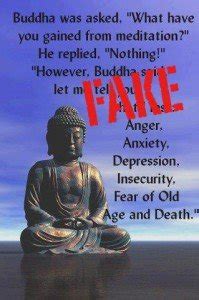 Buddha was asked: “What have you gained from meditation?” The Buddha ...