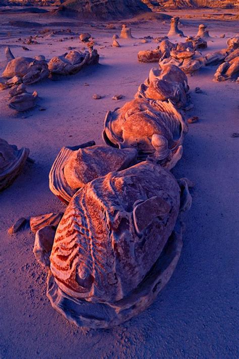 Dinosaur Eggs, Bisti Badlands, New Mexico « Igor Menaker Fine Art Photography | Land of ...