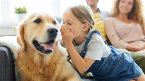 Kids News: How AI is helping humans talk to animals | KidsNews