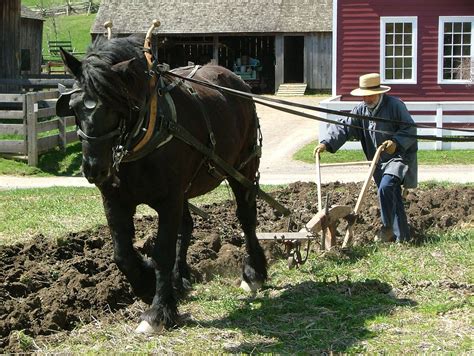 Fresh Tilled Soil: Using the 1830’s Horse-drawn Plow | Horses, Amish farm, Amish culture