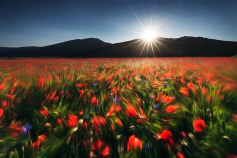 Cómo entender los destellos de la lente en la fotografía de paisajes | Icela... | NCGo